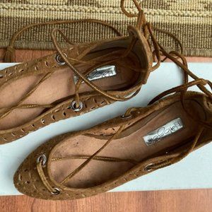 Hanella Lea, Halogen